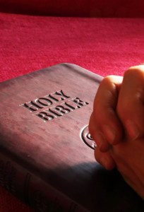 belief bible book business